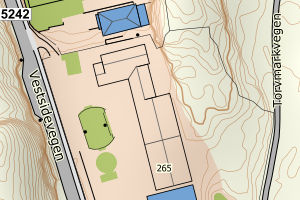 Kartbilde fra WMS-tjeneste av avviket
