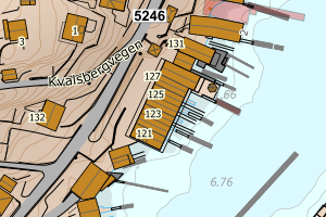 Kartbilde fra WMS-tjeneste av avviket