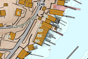 Kartbilde fra WMS-tjeneste av avviket