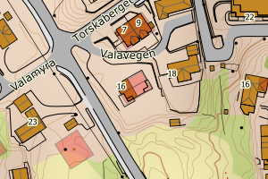 Kartbilde fra WMS-tjeneste av avviket