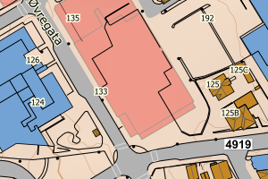 Kartbilde fra WMS-tjeneste av avviket