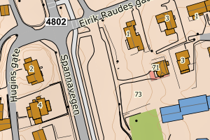 Kartbilde fra WMS-tjeneste av avviket