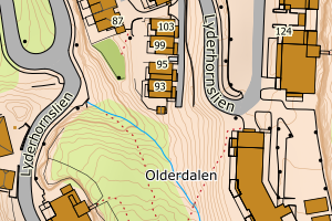 Kartbilde fra WMS-tjeneste av avviket