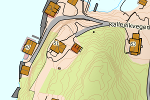 Kartbilde fra WMS-tjeneste av avviket