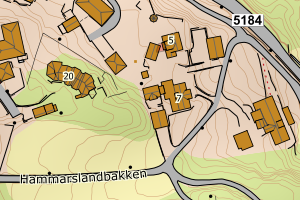 Kartbilde fra WMS-tjeneste av avviket