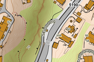 Kartbilde fra WMS-tjeneste av avviket