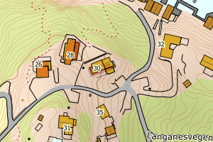 Kartbilde fra WMS-tjeneste av avviket