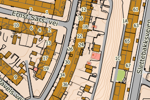 Kartbilde fra WMS-tjeneste av avviket
