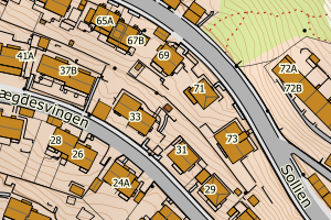 Kartbilde fra WMS-tjeneste av avviket