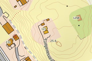 Kartbilde fra WMS-tjeneste av avviket