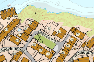 Kartbilde fra WMS-tjeneste av avviket