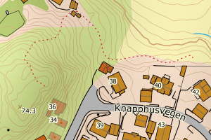 Kartbilde fra WMS-tjeneste av avviket