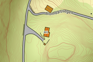 Kartbilde fra WMS-tjeneste av avviket