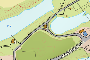 Kartbilde fra WMS-tjeneste av avviket