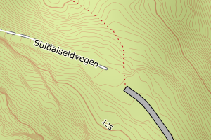 Kartbilde fra WMS-tjeneste av avviket