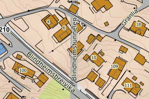 Kartbilde fra WMS-tjeneste av avviket