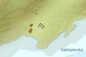 Kartbilde fra WMS-tjeneste av avviket