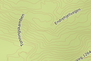 Kartbilde fra WMS-tjeneste av avviket