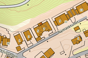 Kartbilde fra WMS-tjeneste av avviket