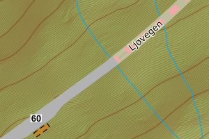 Kartbilde fra WMS-tjeneste av avviket