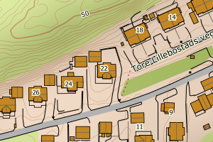 Kartbilde fra WMS-tjeneste av avviket