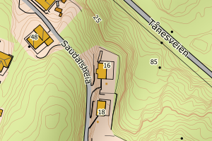 Kartbilde fra WMS-tjeneste av avviket