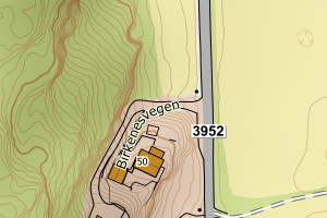 Kartbilde fra WMS-tjeneste av avviket