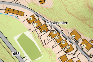 Kartbilde fra WMS-tjeneste av avviket