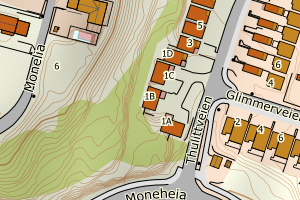 Kartbilde fra WMS-tjeneste av avviket