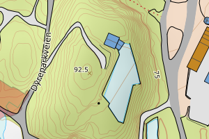 Kartbilde fra WMS-tjeneste av avviket