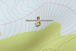 Kartbilde fra WMS-tjeneste av avviket
