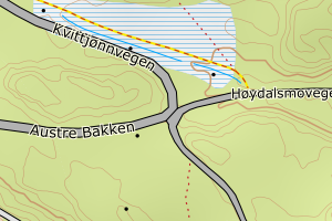 Kartbilde fra WMS-tjeneste av avviket