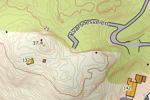 Kartbilde fra WMS-tjeneste av avviket