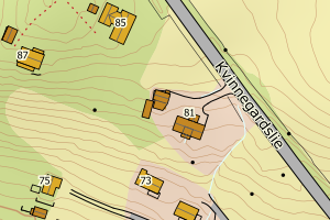 Kartbilde fra WMS-tjeneste av avviket