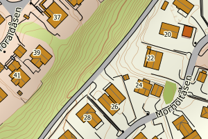 Kartbilde fra WMS-tjeneste av avviket