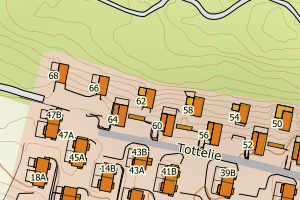 Kartbilde fra WMS-tjeneste av avviket