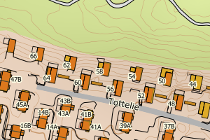 Kartbilde fra WMS-tjeneste av avviket