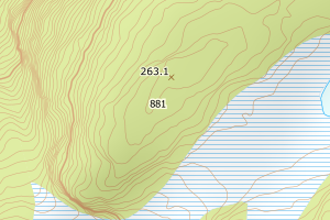 Kartbilde fra WMS-tjeneste av avviket