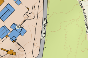 Kartbilde fra WMS-tjeneste av avviket