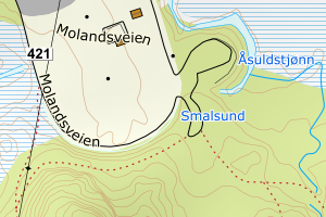 Kartbilde fra WMS-tjeneste av avviket