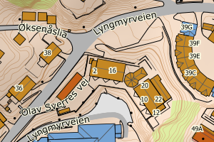Kartbilde fra WMS-tjeneste av avviket