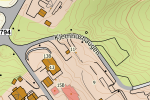 Kartbilde fra WMS-tjeneste av avviket