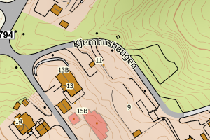 Kartbilde fra WMS-tjeneste av avviket