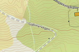 Kartbilde fra WMS-tjeneste av avviket