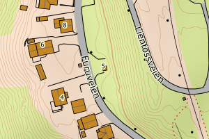 Kartbilde fra WMS-tjeneste av avviket