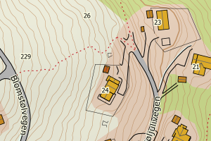 Kartbilde fra WMS-tjeneste av avviket