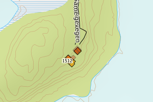Kartbilde fra WMS-tjeneste av avviket