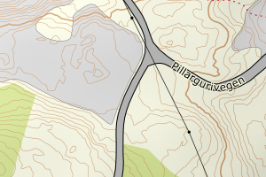 Kartbilde fra WMS-tjeneste av avviket