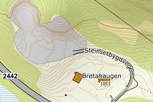 Kartbilde fra WMS-tjeneste av avviket