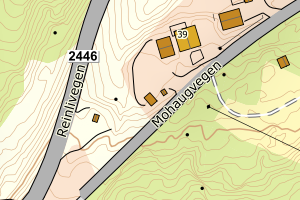 Kartbilde fra WMS-tjeneste av avviket